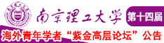 肉棒插操视频南京理工大学第十四届海外青年学者紫金论坛诚邀海内外英才！